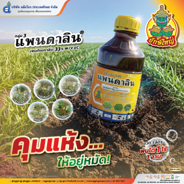 แพนดาลิน